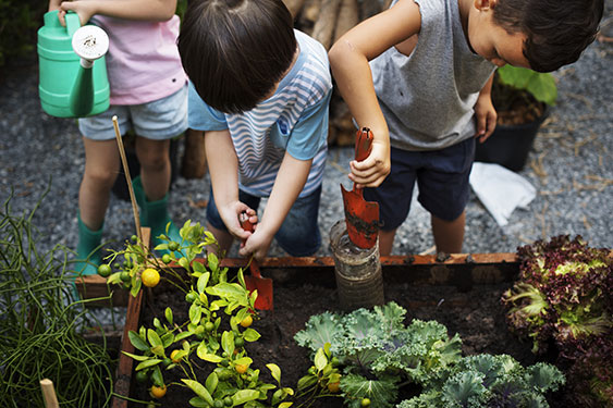 Seaside & Patio Gardening Tips