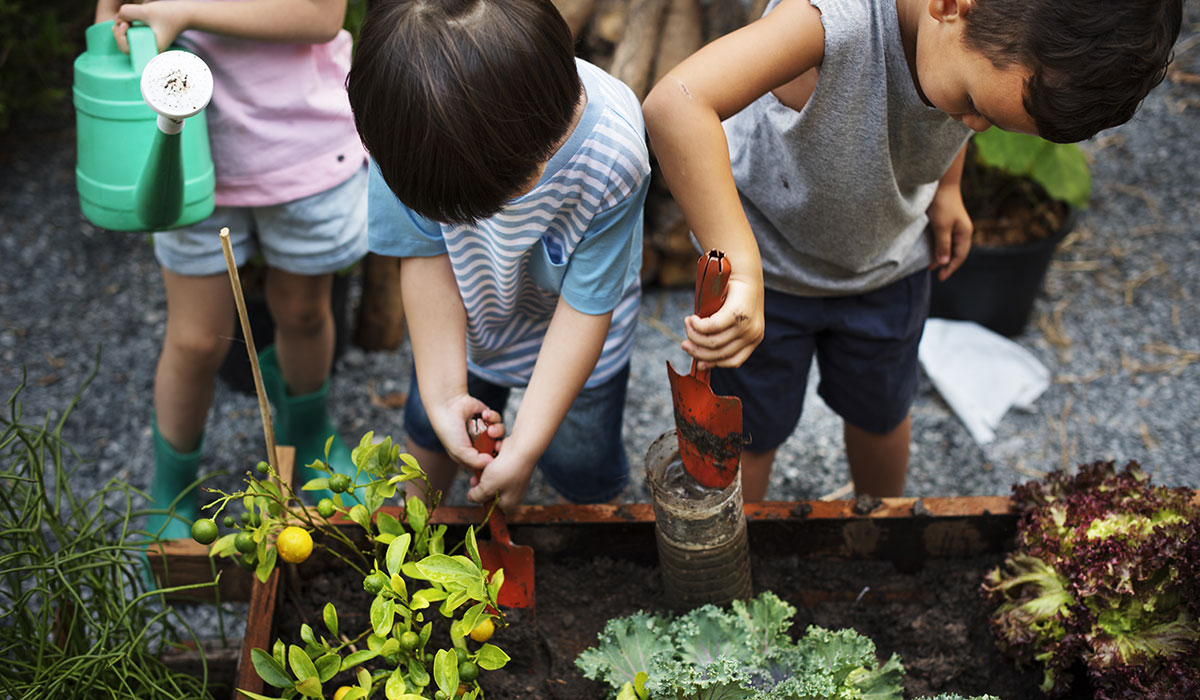 Seaside & Patio Gardening Tips